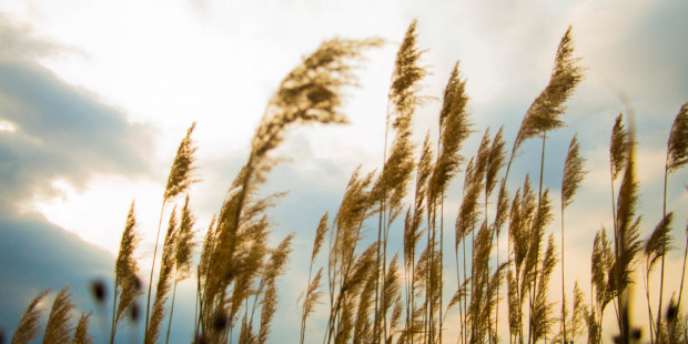 web3-gods-voice-is-a-whisper-in-the-breeze-jose-melendez-cc-by-sa-2-0