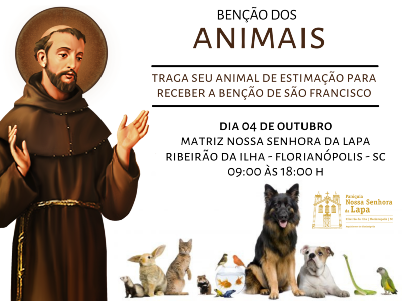 dia de são francisco